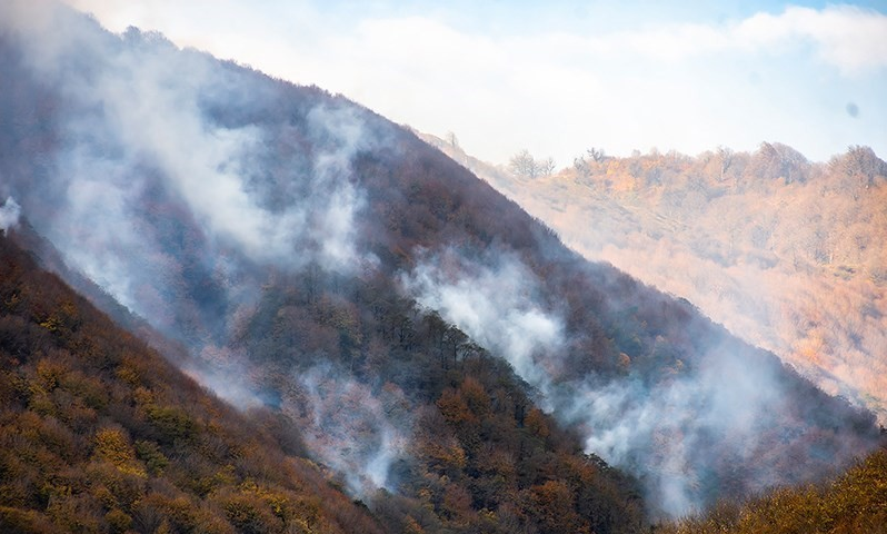 آتش‌ ۳۱۰۰ هکتار از جنگل‌های لرستان را خاکستر کرد